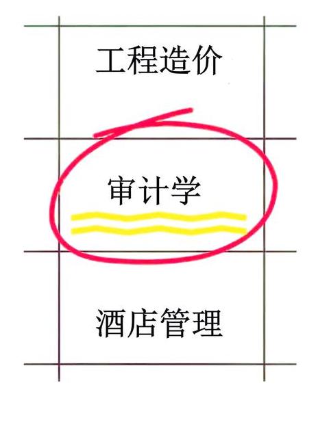 Chọn Chứng Chỉ Kiểm Toán: Hướng Dẫn Tối Ưu Cho Sinh Viên