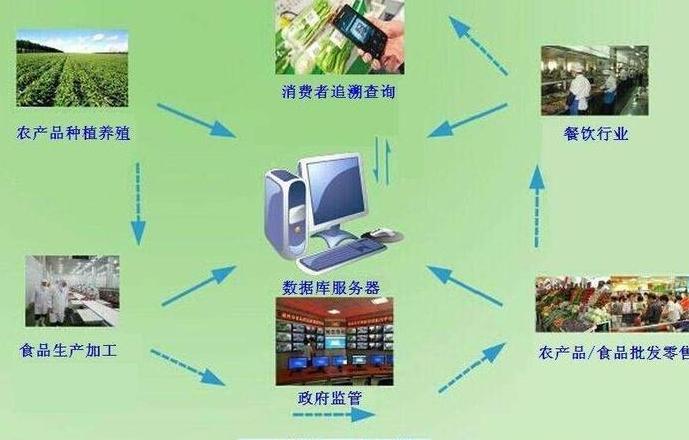 Carrefour Blockchain: Cách Công Nghệ Blockchain Cải Thiện Truy Xuất Nguồn Gốc Thực Phẩm