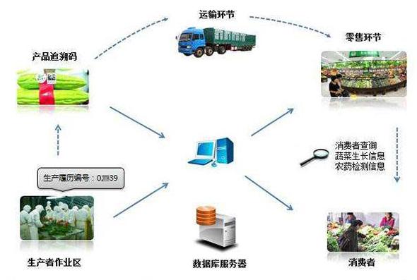 Cách Thực Hiện Truy Xuất Nguồn Gốc Blockchain trong Nông Nghiệp
