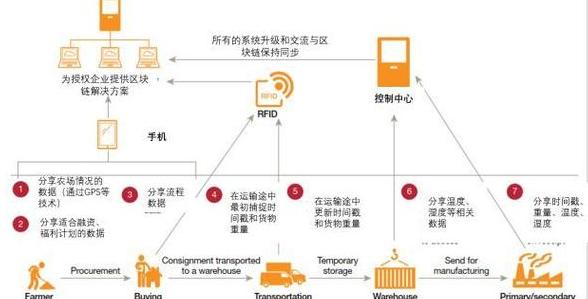 Triển vọng và Khóa Học Cần Thiết cho Kỹ Sư Blockchain