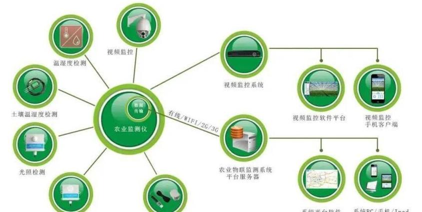 Công nghệ Truy Xuất Nguồn Gốc Blockchain: Đảm Bảo An Toàn Thực Phẩm Trong Nông Nghiệp