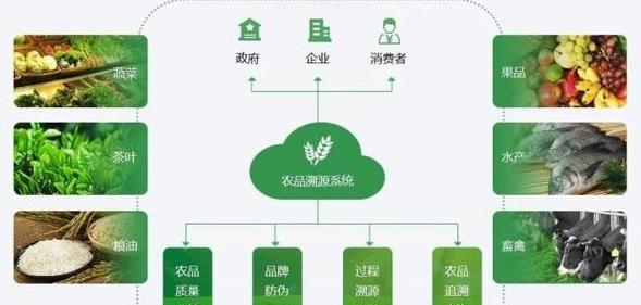 Công nghệ theo dõi blockchain: Đảm bảo an toàn thực phẩm và minh bạch nguồn gốc